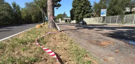 Castellanza (Varese), uomo ucciso a colpi di pistola in un parcheggio