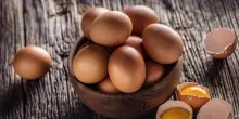 Mangiare uova riduce rischio di Alzheimer? Ecco cosa dice uno studio
