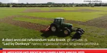 GB, messaggio anti-Brexit in un campo a dieci anni dal voto