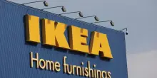 Svezia, l'idea low cost Ikea: i clienti potranno sposarsi nei negozi