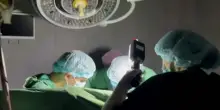 Curano tumore del figlio con metodo Hamer, i periti: poteva salvarsi