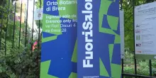 Fuorisalone, orto botanico Brera &egrave; 'Giardino delle Esperidi'