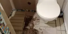 Wc nella doccia, umidit&agrave; e aria insalubre: b&b horror scoperto a Bari