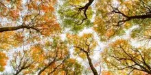 Meteo, ultima settimana di ottobre con tempo stabile e alta pressione