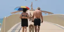 Vacanza con gli animali: 6,3 milioni di italiani li portano con s&eacute;