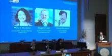 Il Nobel per la Medicina a Brunkow, Ramsdell e Sakaguchi