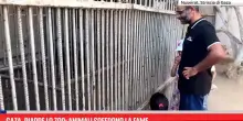 Gaza, riapre lo zoo: animali soffrono la fame