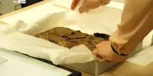 ME-Scripta, il nuovo centro di ricerca del Museo Egizio di Torino