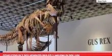 Scheletro di T-Rex venduto per 50,1 milioni di dollari