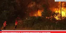 Incendi in Portogallo, le fiamme minacciano le abitazioni