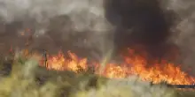 Incendi boschivi, le cause pi&ugrave; comuni e le regole per proteggersi