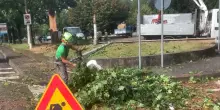 Tromba d'aria nel varesotto, alberi caduti e tetti danneggiati