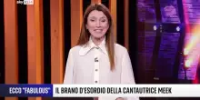 Ecco Meek, la cantautrice di 'Fabulous'. VIDEO