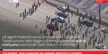 California, vivai cannabis nel mirino: proteste e scontri