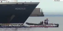 Hantavirus su nave da crociera, quarantena a Rotterdam