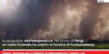 Parigi, incendio nella foresta di Fontainebleau: chiusa l'A6