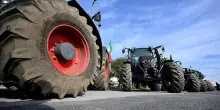 Bonus gasolio agricolo, domande entro oggi 30 settembre: a chi spetta