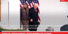 Giorno del Ringraziamento, Trump perdona due tacchini
