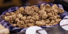 Le 10 sagre e fiere d'autunno da non perdere in Italia a ottobre