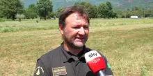 Incendi Piemonte, Vvff: 'Mezzi aerei per spegnere il fuoco'
