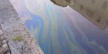 Sversamento in Darsena, analisi sul liquido inquinante