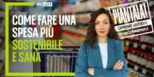 Come fare una spesa più sostenibile e sana