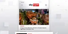I titoli di Sky TG24 del 2 gennaio, edizione delle 8