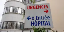 Francia, morto un uomo per il virus Shamonda: &egrave; il primo caso umano
