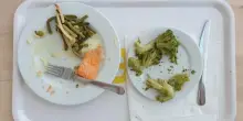 Giornata contro lo spreco alimentare, 5 regole per non buttare il cibo