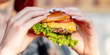 Giornata dell'hamburger, come fare il panino perfetto: le regole