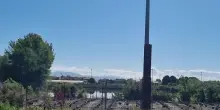 Pistoia, avvistato un coccodrillo di 2 metri al laghetto di Masiano