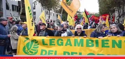 Messina, in 15mila a corteo contro Ponte sullo Stretto