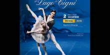 Il Lago dei Cigni in tour in Italia: le date e i protagonisti