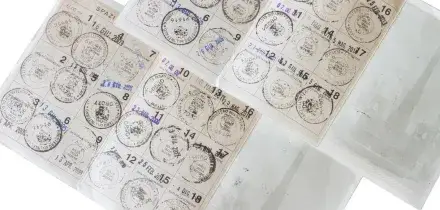 Elezioni comunali 2026, come si vota: dalla scheda al voto disgiunto