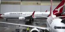 Volo Qantas Roma-Perth cancellato per infestazione di cimici dei letti