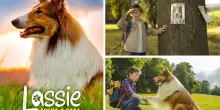 Lassie torna a casa, trama e cast del remake del film stasera in tv
