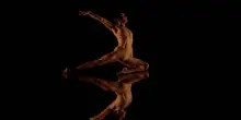 Roberto Bolle con i suoi friends illumina l'Arena di Verona