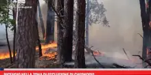 Incendio nella zona di esclusione di Chernobyl