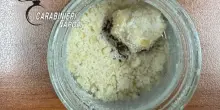 'White hash', la nuova droga scoperta a Napoli: 4 arresti