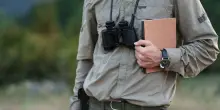 Giornata europea dei Parchi, i migliori per un safari nella natura
