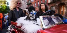 Halloween, i migliori costumi per cani sfilano in strada a New York