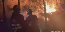 Incendi Spagna 150 ettari in fiamme nella regione di Murcia