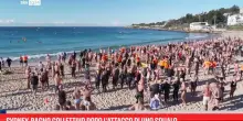 Sydney, bagno collettivo dopo l'attacco di uno squalo