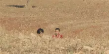 Alby, l'ultimo Ulivo, il trailer del cortometraggio