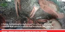 Pompei, trovati resti di due uomini in fuga dal Vesuvio