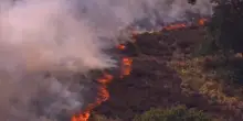 Gargano, nuovi incendi a Vieste, Peschici e Cagnano Varano