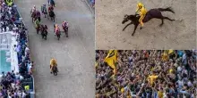 Siena, Palio di Provenzano 2026: vince la contrada dell'Aquila