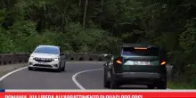 Romania, via libera all'abbattimento di quasi 900 orsi