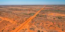 Australia, scoperto dingo sepolto mille anni fa con rito ancestrale