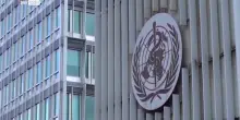 Epidemia Hantavirus, OMS: probabile contagio fuori dalla nave, no ratti a bordo